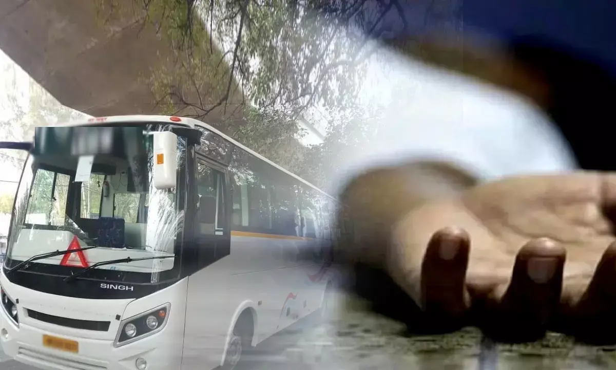 Decomposed Body In Tourist Bus