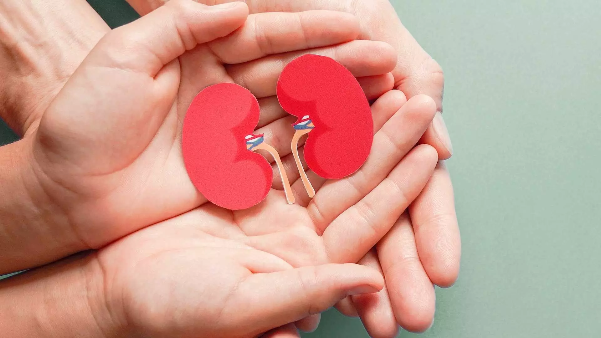 foods prevent kidney damage foods prevent kidney damage