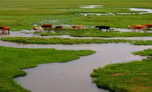 छत्तीसगढ़ के कई बांध सूखे : मोंगरा, मुरुमसिल्ली समेत पांच बांधों की हालत खराब, कुछ में एक तिहाई से कम पानी छत्तीसगढ़ के कई बांध सूखे : मोंगरा, मुरुमसिल्ली समेत पांच बांधों की हालत खराब, कुछ में एक तिहाई से कम पानी
