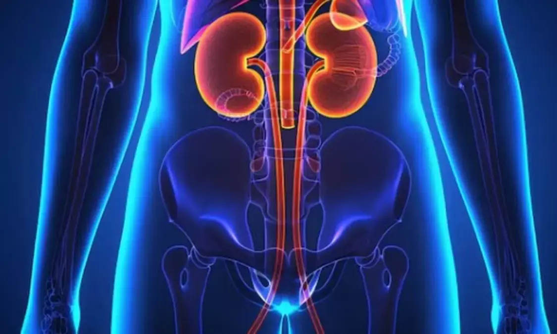 Health Tips: किडनी को रखना है हमेशा स्वस्थ, इन चीजों से बना लें दूरी