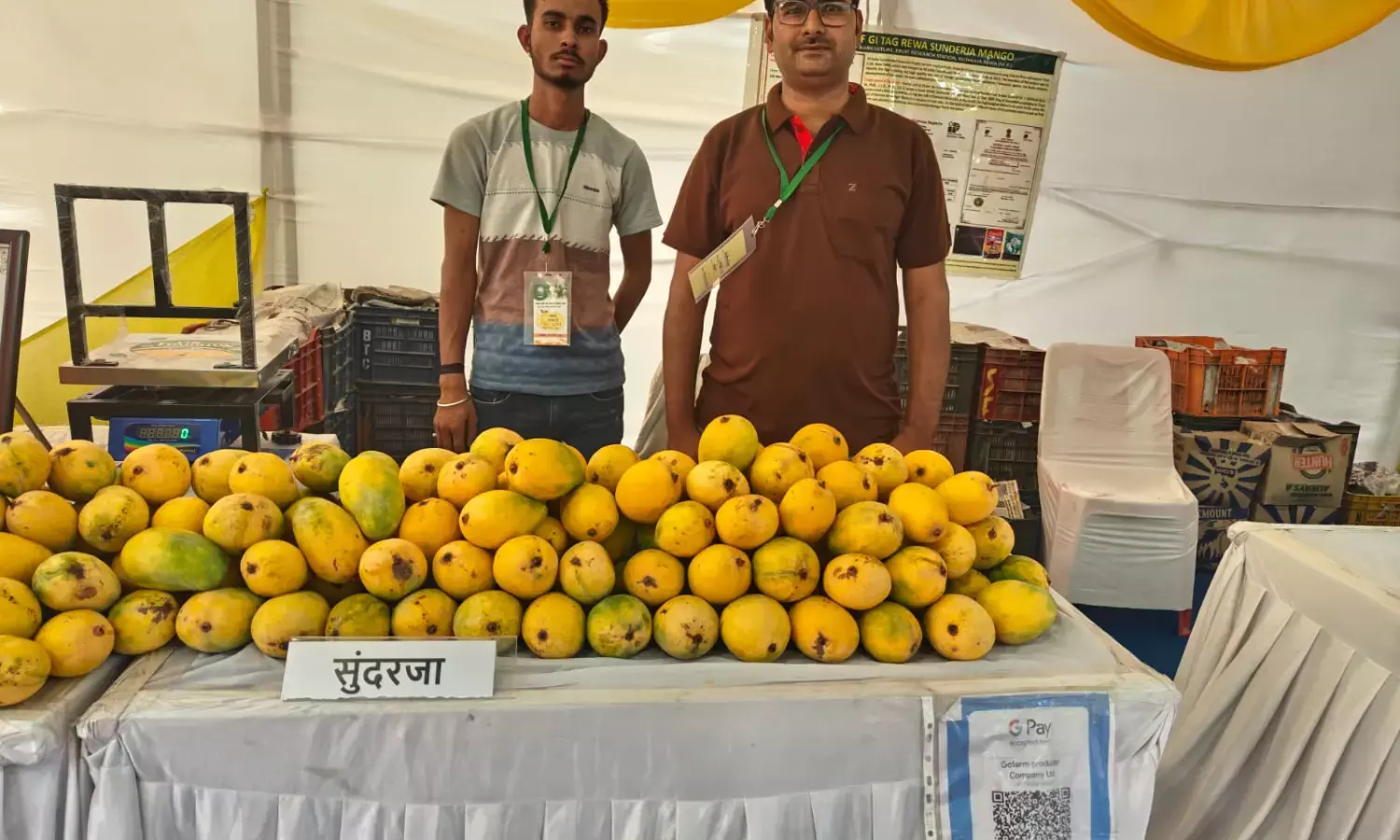 NABARD launches Mango Festival