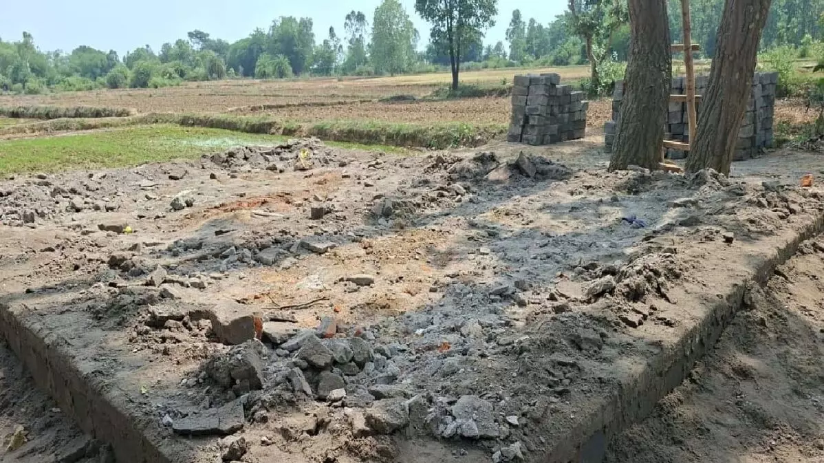 Forest department Forest department