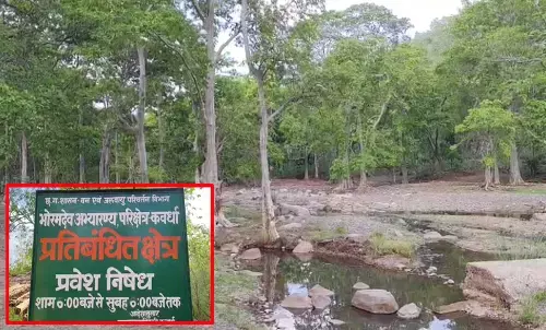 जंगल सफारी शुरू करने की तैयारी पूरी, इलैक्ट्रिक जिप्सी से कराएंगे सवारी