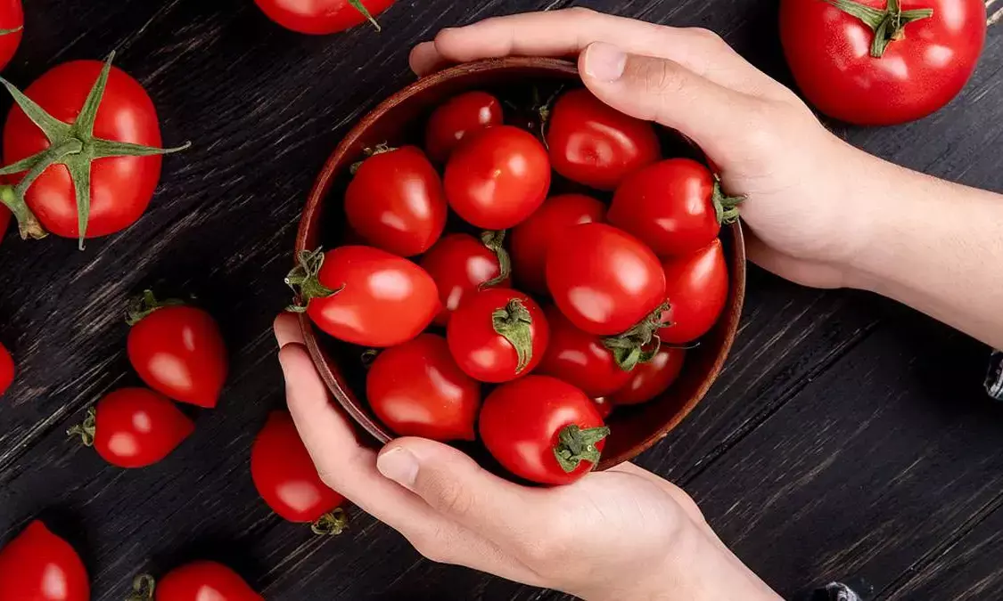 tomato storage tips