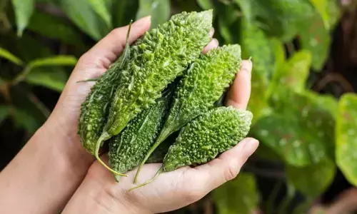 how to reduce bitter gourd bitterness