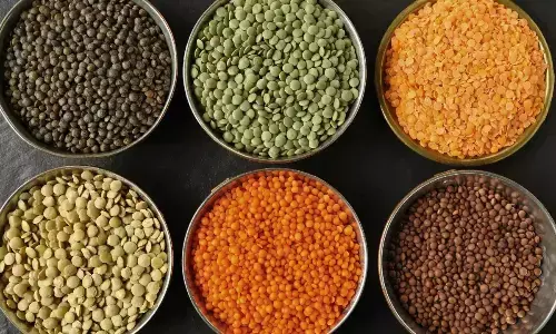 क्यों है रोजाना दाल खाना जरूरी? जानें इसके 4 बड़े फायदे और किसमें है सबसे ज्यादा प्रोटीन