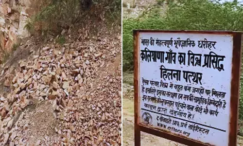 Haryana Flexible Sandstone