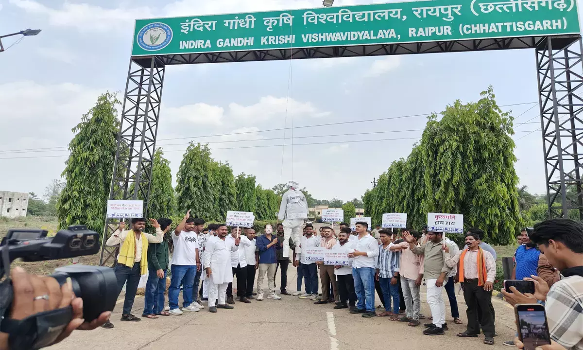 एनएसयूआई का अनोखा प्रदर्शन : इंदिरा गांधी कृषि विश्वविद्यालय के कुलपति को हटाने की मांग