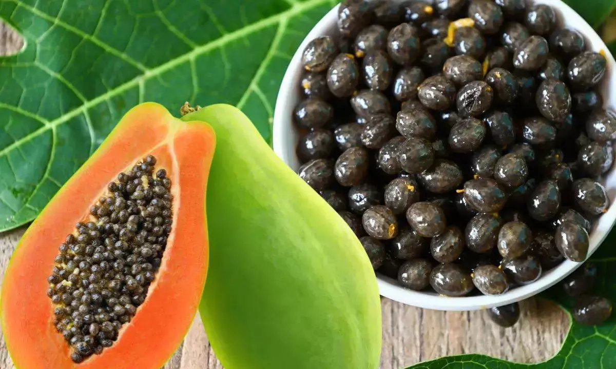 papaya seeds health benefits