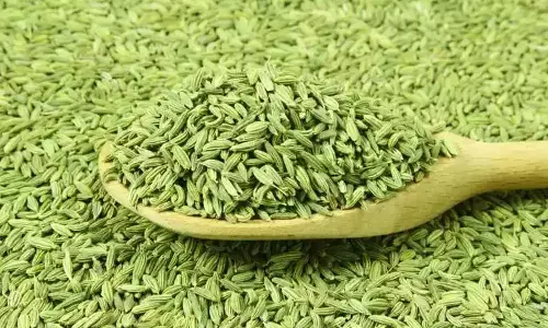 fennel seeds benefits saunf khane ke fayde in hindi fennel seeds benefits saunf khane ke fayde in hindi