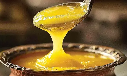 desi ghee purity test