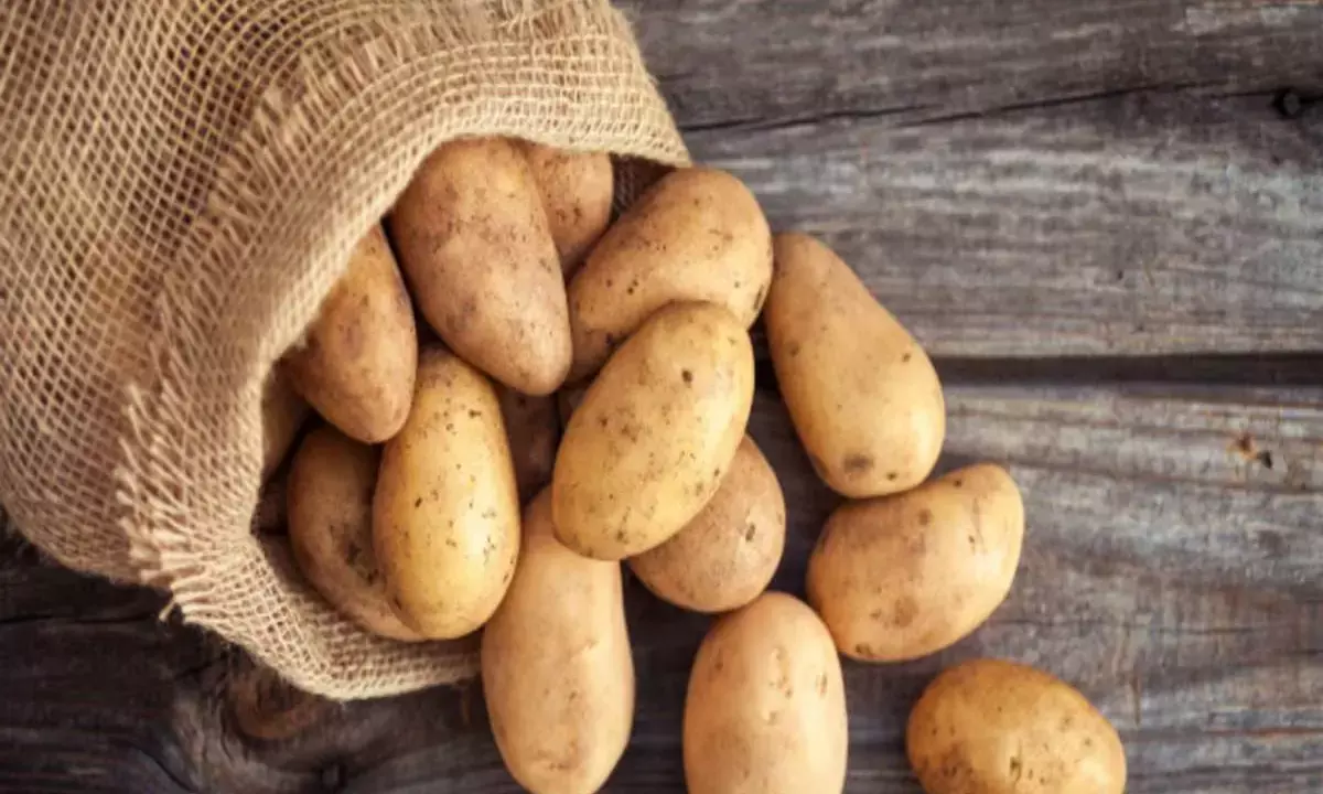 how to store potato for long time