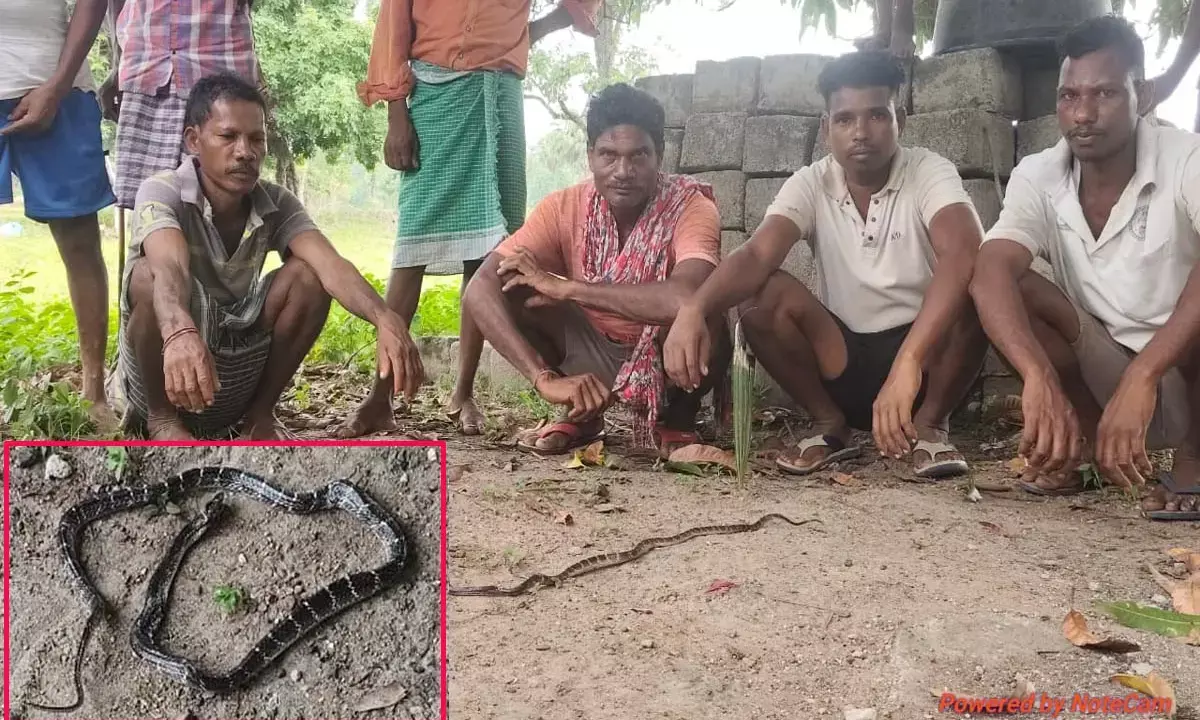 Bijapur Marudbaka village