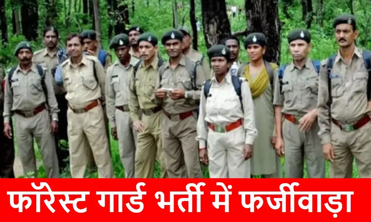 अब फॉरेस्ट गार्ड भर्ती में भी फर्जीवाड़े की आशंका, 113 चयनित अभ्यर्थियों की होगी दस्तावेज जांच
