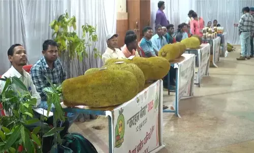 Pathalgaon Jackfruit Fair 36 kg jackfruit became the center of attraction