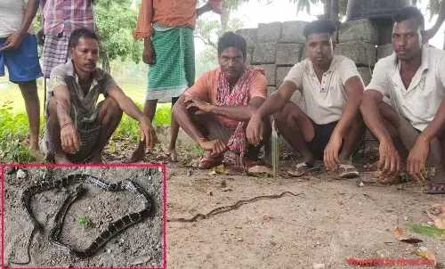 Bijapur Marudbaka village