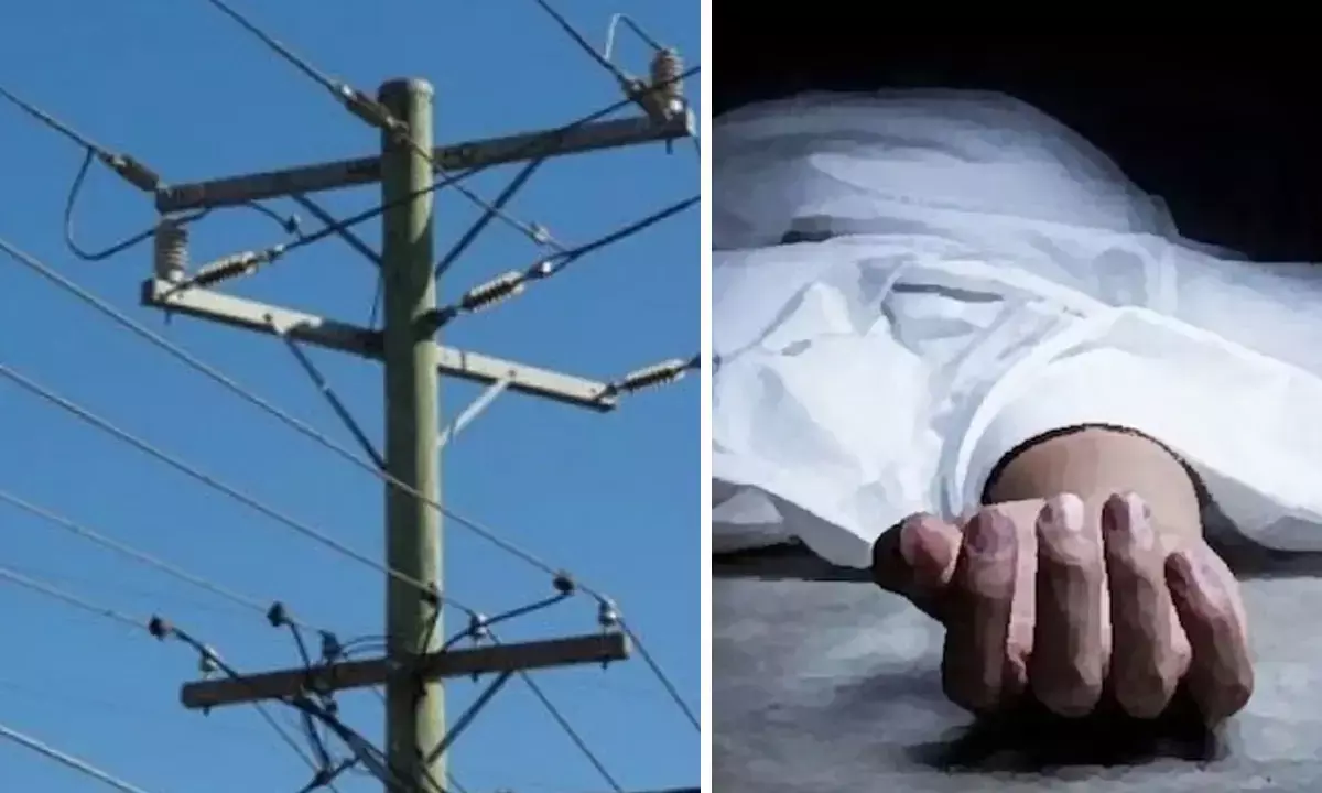 Tree fell on electric wire two youth died