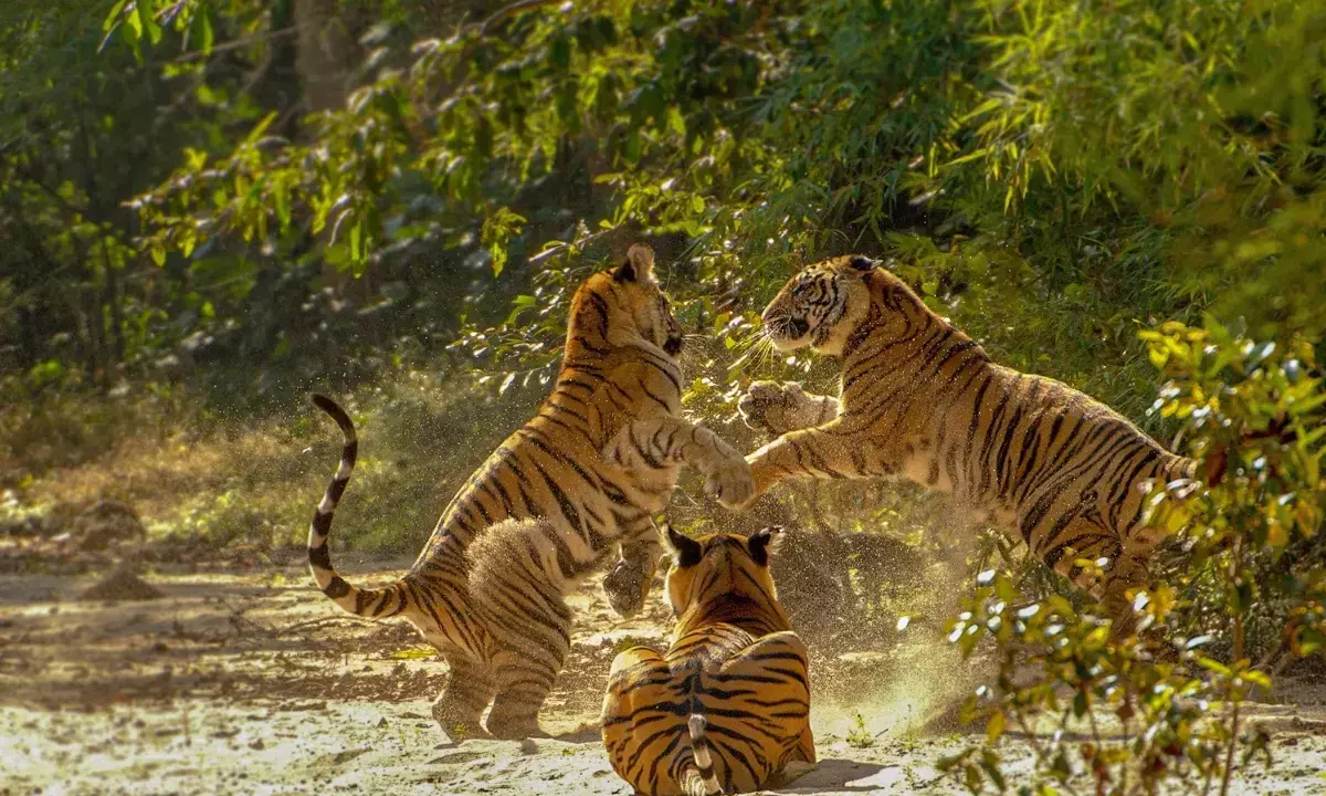 MP tourism record 2024 visitor growth report