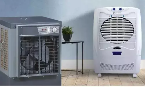 cooler maintenance tips