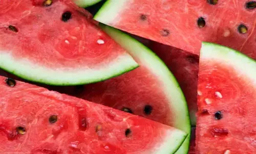 Health Tips: तरबूज के बीजों को फेंकने की जगह हर रोज खाएं, सेहत को मिलेंगे कई फायदे