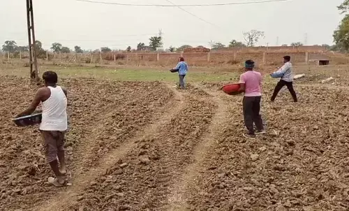 farmer sprinkling fertilizer in the field