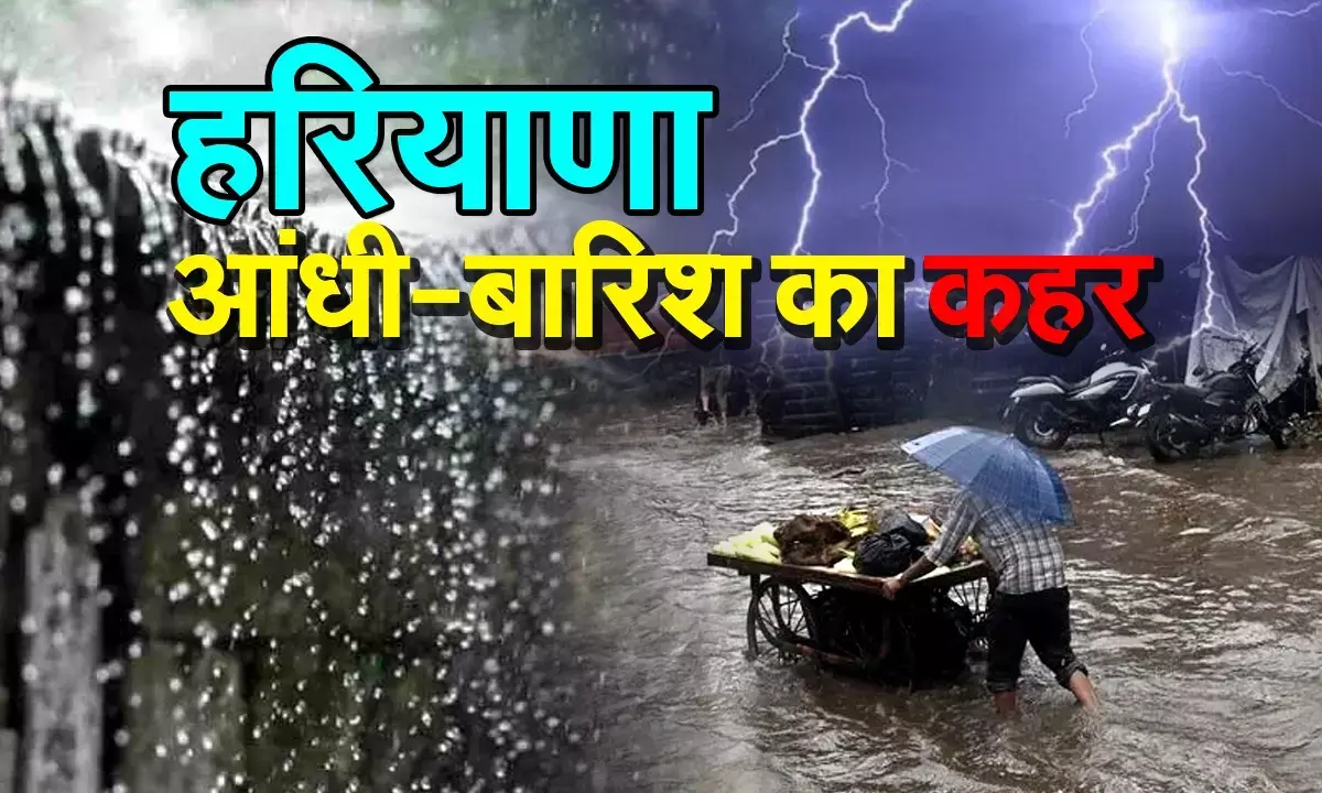 हरियाणा के 8 जिलों में आंधी-बारिश का कहर, कई इलाकों में भरा पानी, करंट लगने से युवक की मौत