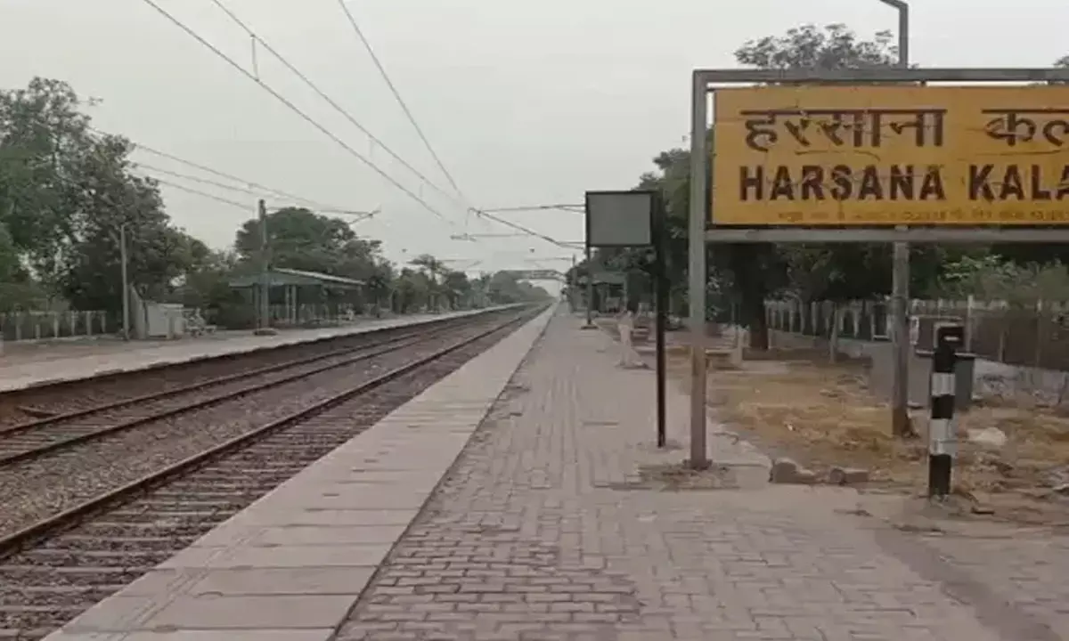 रेलवे लाइन पर चर रहे 11 गोवंश की ट्रेन से कटकर मौत, 25 मिनट बाधित रहा रेल यातायात