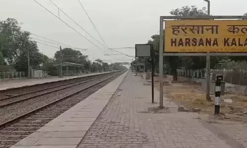 रेलवे लाइन पर चर रहे 11 गोवंश की ट्रेन से कटकर मौत, 25 मिनट बाधित रहा रेल यातायात