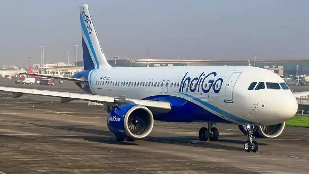 indigo flight indigo flight