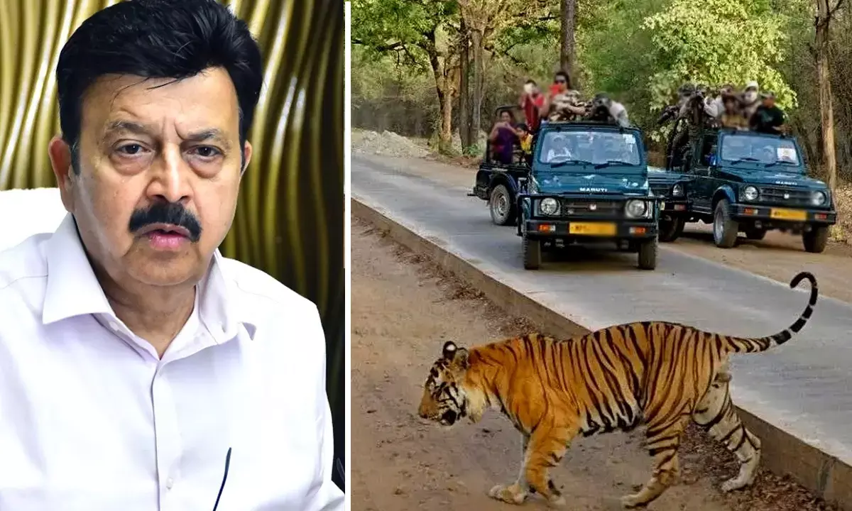 Faridabad jungle safari