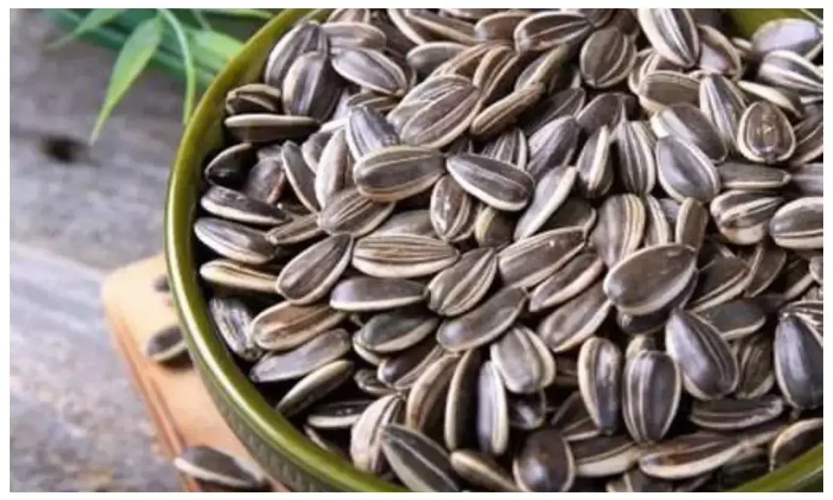Sunflower seeds for dry hair