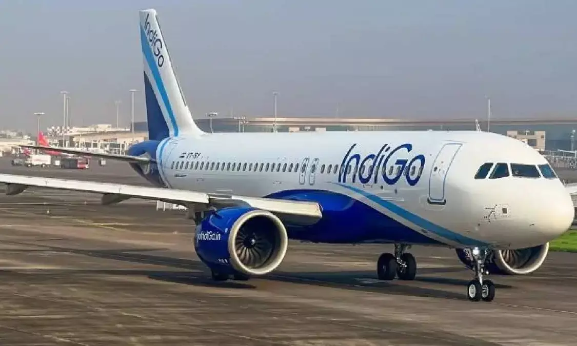 indigo flight