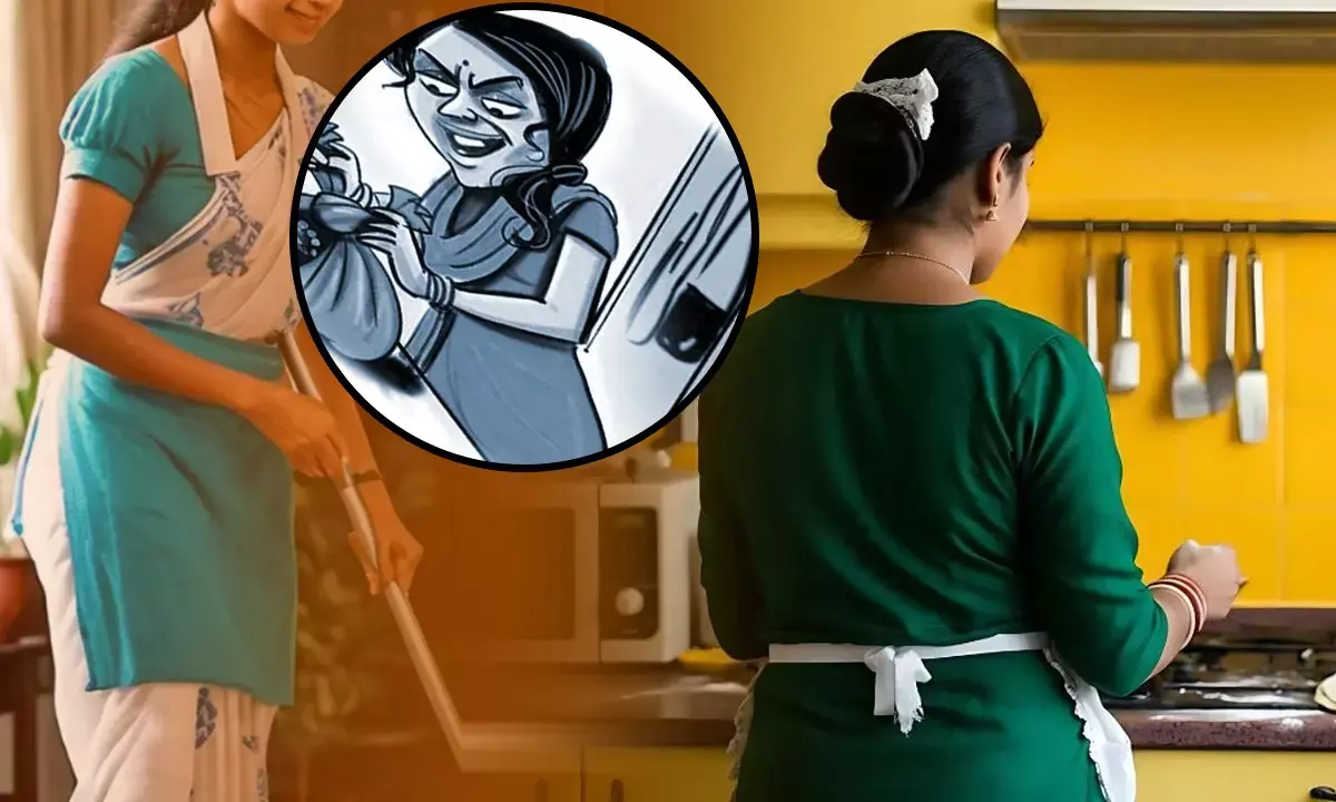 delhi law student planted friend as maid