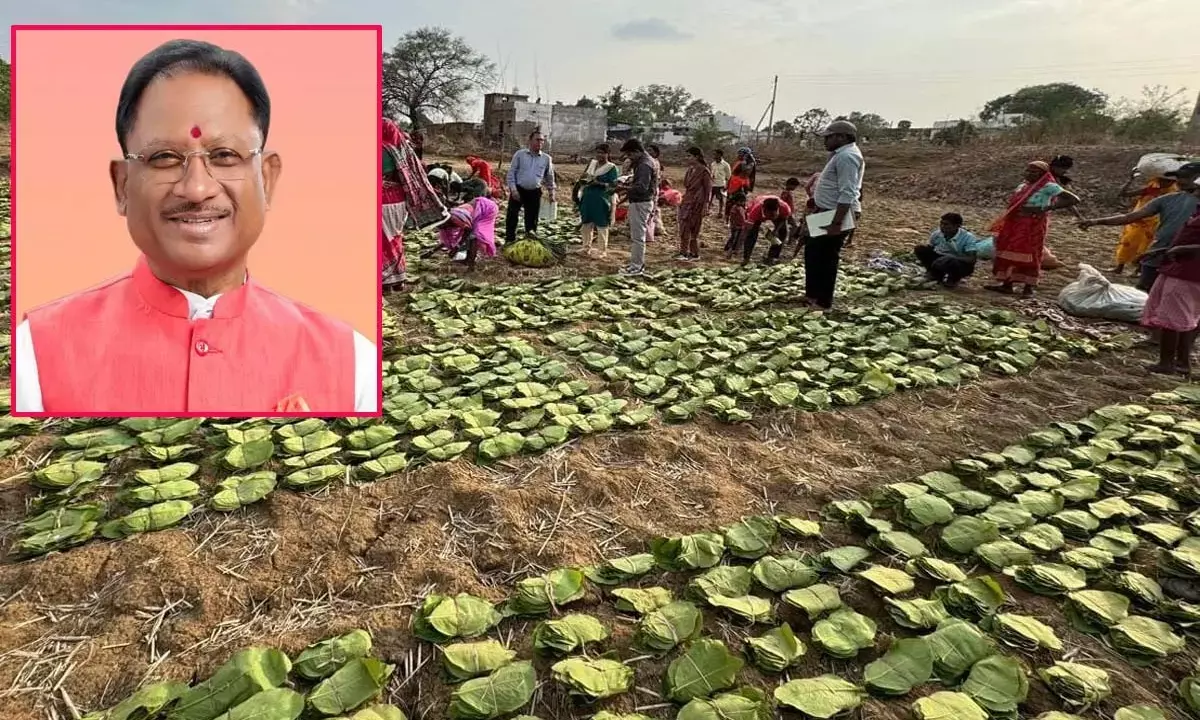 CM Vishnudev Sai will distribute Charan Paduka to Tendu leaf collectors