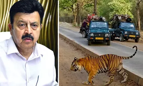 Faridabad jungle safari