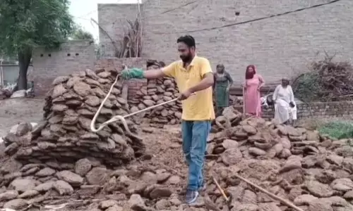 घर में सांप दिखते और पल भर में गायब हो जाते, स्नेक मैन ने उपलों में से निकाले पांच सांप
