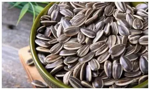 Sunflower seeds for dry hair