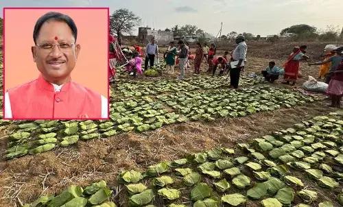 CM Vishnudev Sai will distribute Charan Paduka to Tendu leaf collectors