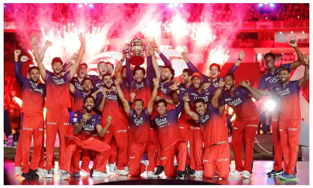 ipl 2025 final viewership record