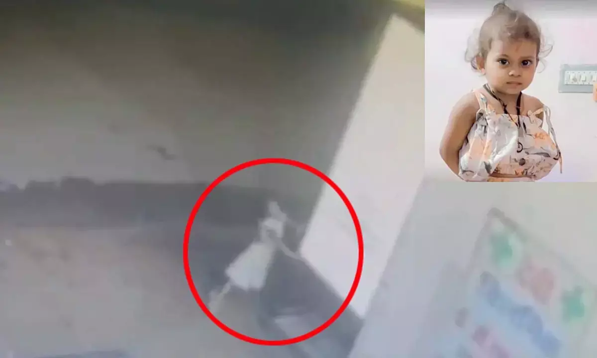 dead girl lavya gupta dead girl lavya gupta