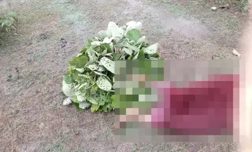 dead body of old woman