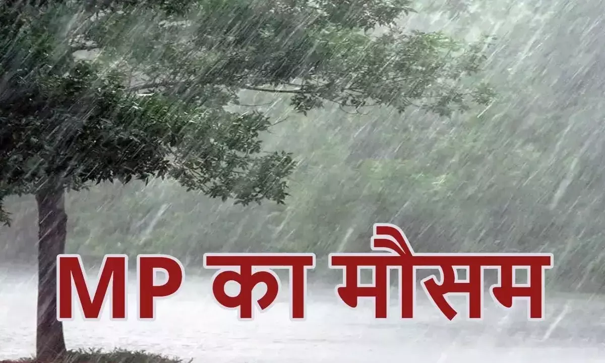 मध्यप्रदेश में मानसूनी बारिश शुरू; रायसेन, विदिशा सहित इन जिलों में आज झमाझम
