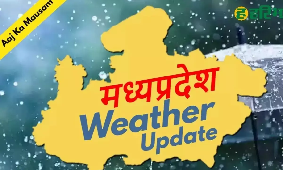 मध्यप्रदेश तरबतर; 25 जिलों में 12° तक लुढ़का टेम्परेचर; आज कहां होगी झमाझम बारिश? जानिए
