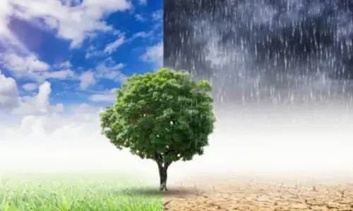 Rajasthan Weather Update