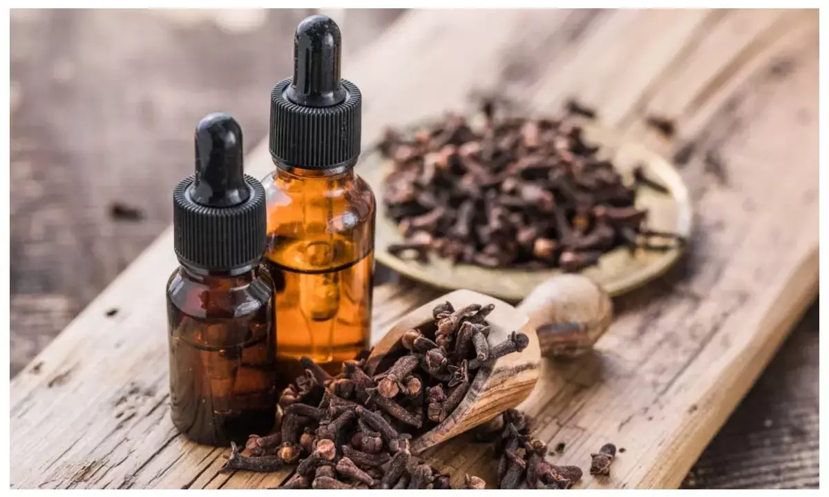 How to make clove oil at home