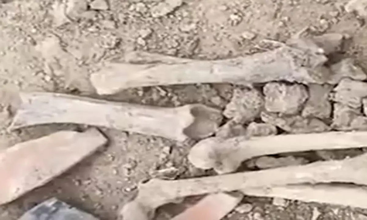 जींद में तालाब की खुदाई में मिले नर कंकाल, 8-10 फुट लंबे और बड़े जबड़े देखकर लोग हैरान