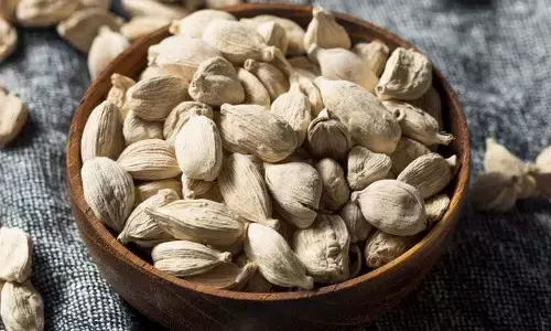 white cardamom benefits safed elaichi khane ke fayde