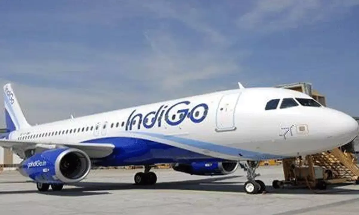 Indigo Airlines Caste Harassment