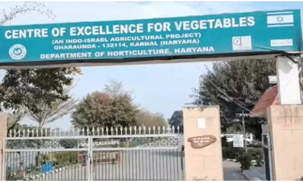 7 फसलों को मिले क्लस्टर हेड और 9 मास्टर ट्रेनर, देशभर में होंगे ट्रेनिंग सेशन