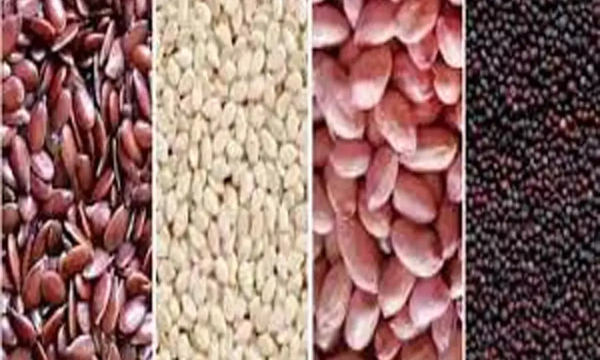 किसानों के लिए खुशखबरी : तिलहन बीज उत्पादन, प्रमाणित बीज वितरण का अनुदान बढ़ा, अब हजार की जगह मिलेंगे 1500 रुपए प्रति क्विंटल